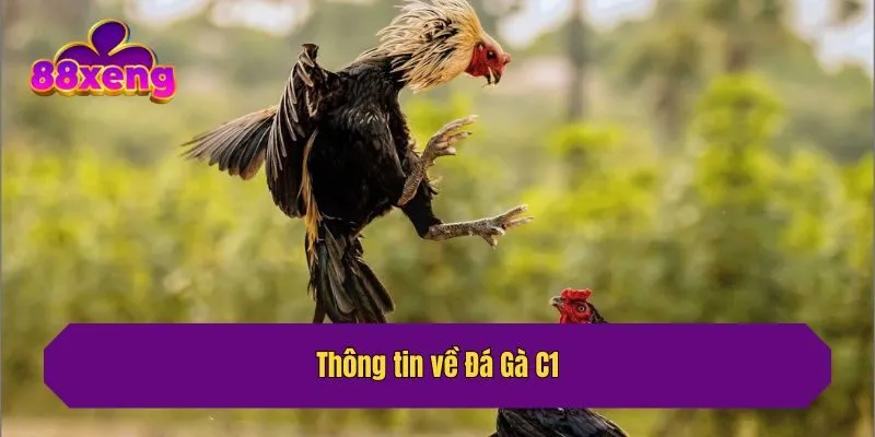 Thông tin về Đá Gà C1